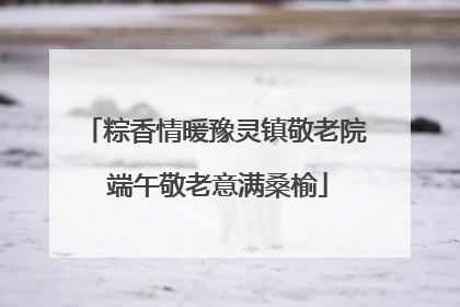 粽香情暖豫灵镇敬老院 端午敬老意满桑榆