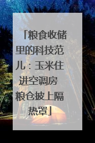 粮食收储里的科技范儿：玉米住进空调房 粮仓披上隔热罩