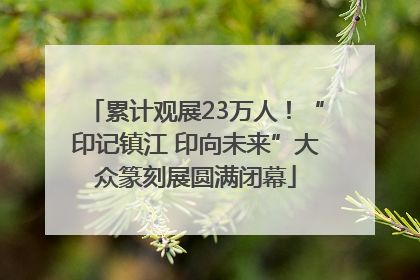 累计观展23万人！“印记镇江 印向未来”大众篆刻展圆满闭幕
