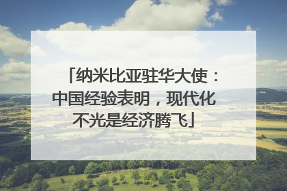 纳米比亚驻华大使：中国经验表明，现代化不光是经济腾飞