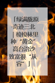 绿满陇原·奇迹三北｜梭梭林里种“黄金” 高台治沙致富很“从容”
