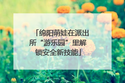 绵阳萌娃在派出所“游乐园”里解锁安全新技能