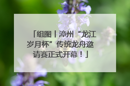 组图丨漳州“龙江岁月杯”传统龙舟邀请赛正式开幕！