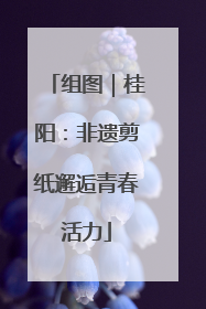 组图｜桂阳：非遗剪纸邂逅青春活力
