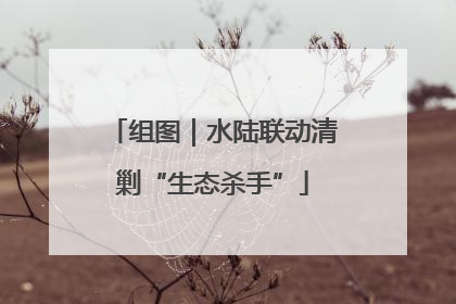 组图｜水陆联动清剿“生态杀手”