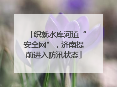 织就水库河道“安全网”，济南提前进入防汛状态