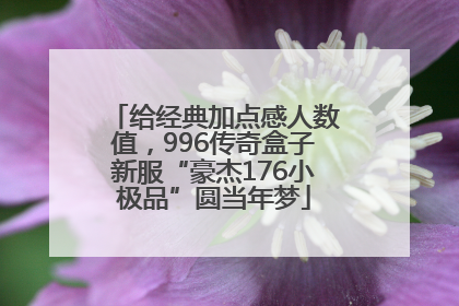 给经典加点感人数值，996传奇盒子新服“豪杰176小极品”圆当年梦