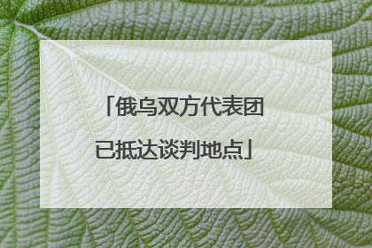 俄乌双方代表团已抵达谈判地点