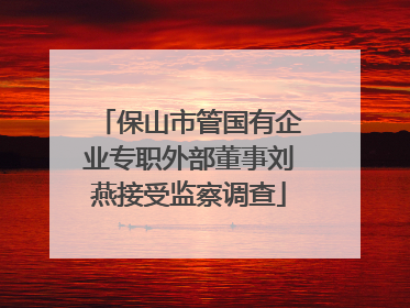 保山市管国有企业专职外部董事刘燕接受监察调查