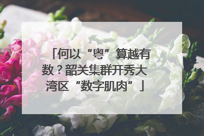何以“粤”算越有数？韶关集群开秀大湾区“数字肌肉”