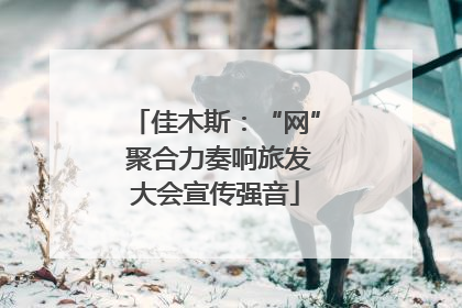 佳木斯：“网” 聚合力奏响旅发大会宣传强音