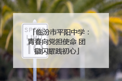 临汾市平阳中学：青春向党担使命 团徽闪耀践初心