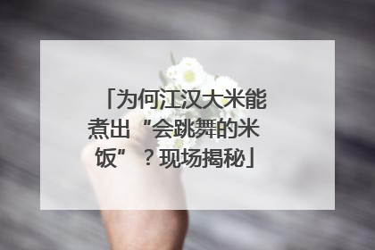 为何江汉大米能煮出“会跳舞的米饭”？现场揭秘