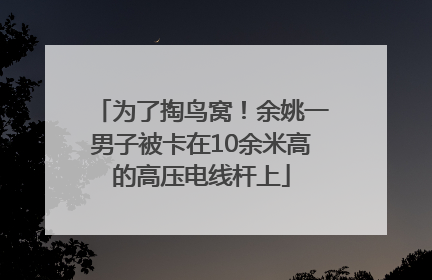 为了掏鸟窝！余姚一男子被卡在10余米高的高压电线杆上