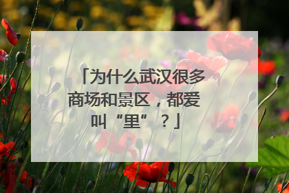 为什么武汉很多商场和景区，都爱叫“里”？