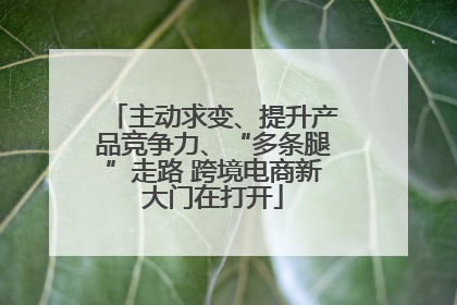 主动求变、提升产品竞争力、“多条腿”走路 跨境电商新大门在打开