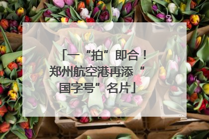 一“拍”即合！郑州航空港再添“国字号”名片