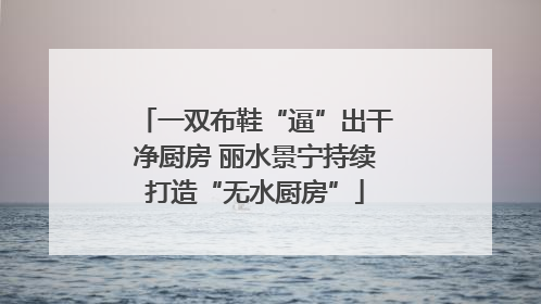 一双布鞋“逼”出干净厨房 丽水景宁持续打造“无水厨房”