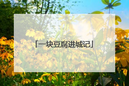 一块豆腐进城记