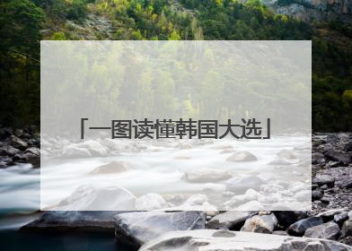 一图读懂韩国大选