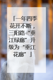 一年四季花开不断，三阳路“垂江绿廊”升级为“垂江花廊”