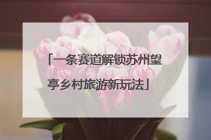一条赛道解锁苏州望亭乡村旅游新玩法