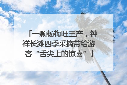 一颗杨梅旺三产，钟祥长滩四季采摘带给游客“舌尖上的惊喜”