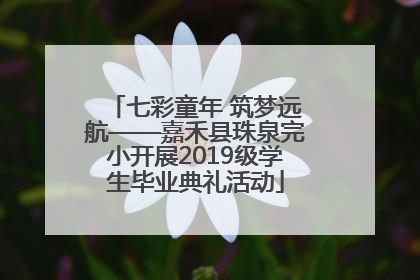 七彩童年 筑梦远航——嘉禾县珠泉完小开展2019级学生毕业典礼活动