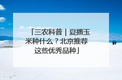 三农科普｜夏播玉米种什么？北京推荐这些优秀品种