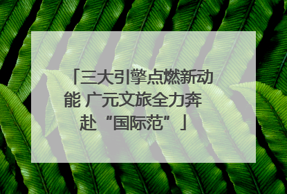 三大引擎点燃新动能 广元文旅全力奔赴“国际范”