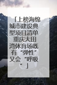 上榜海绵城市建设典型项目清单 重庆大田湾体育场既有“弹性”又会“呼吸”