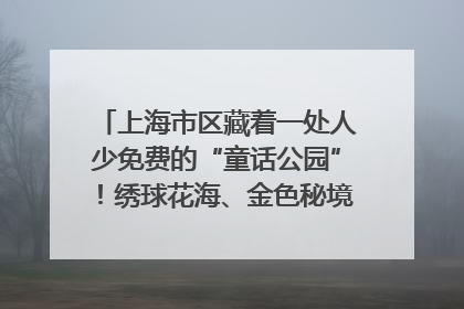 上海市区藏着一处人少免费的“童话公园”！绣球花海、金色秘境……地铁直达→