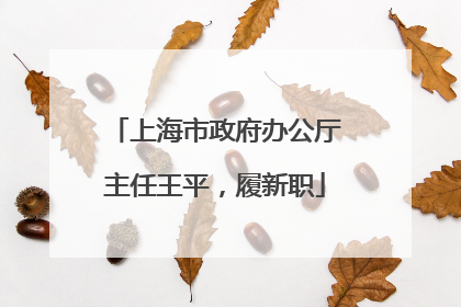 上海市政府办公厅主任王平，履新职