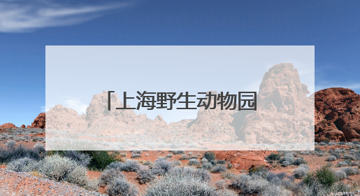上海野生动物园发文科普非洲象：同一只非洲象长期被欺负消息不实