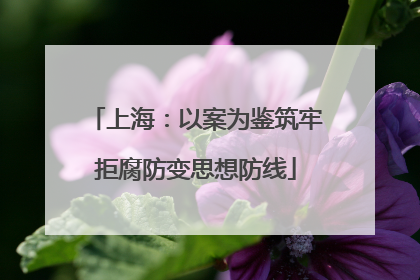 上海：以案为鉴筑牢拒腐防变思想防线