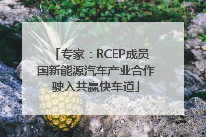 专家：RCEP成员国新能源汽车产业合作驶入共赢快车道