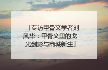 专访甲骨文学者刘风华：甲骨文里的戈光剑影与商城新生
