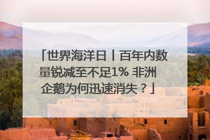世界海洋日丨百年内数量锐减至不足1% 非洲企鹅为何迅速消失？