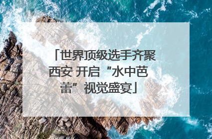 世界顶级选手齐聚西安 开启“水中芭蕾”视觉盛宴