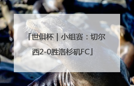 世俱杯｜小组赛：切尔西2-0胜洛杉矶FC
