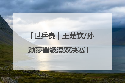 世乒赛｜王楚钦/孙颖莎晋级混双决赛