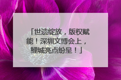 世遗绽放，版权赋能！深圳文博会上，鲤城亮点纷呈！