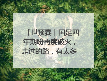 世预赛｜国足四年期盼再度破灭，走过的路，有太多的“意难平”