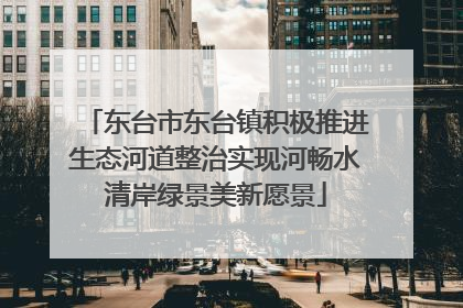 东台市东台镇积极推进生态河道整治实现河畅水清岸绿景美新愿景