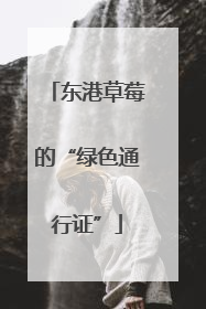东港草莓的“绿色通行证”