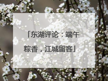 东湖评论：端午粽香，江城留客