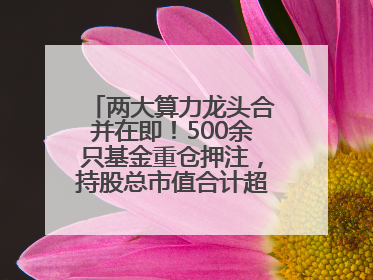 两大算力龙头合并在即！500余只基金重仓押注，持股总市值合计超380亿元