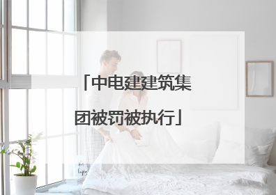 中电建建筑集团被罚被执行