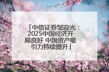 中信证券邹迎光：2025中国经济开局良好 中国资产吸引力持续提升