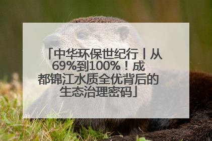 中华环保世纪行丨从69%到100%！成都锦江水质全优背后的生态治理密码